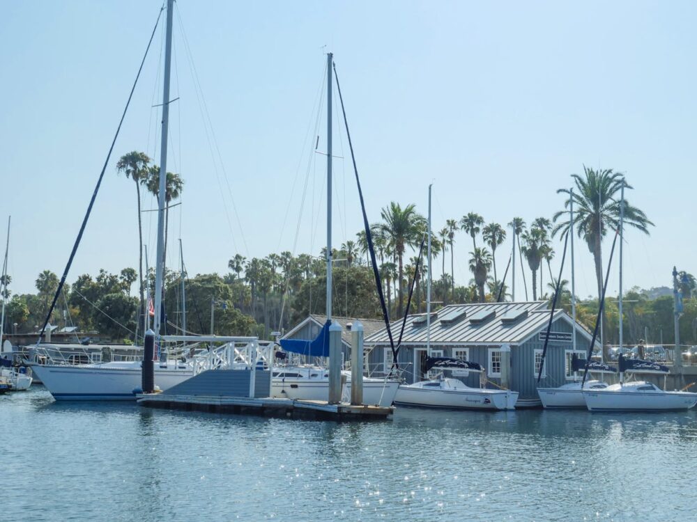 魚は危険 | 妊婦も家族みんな 魚は食べない方が安全